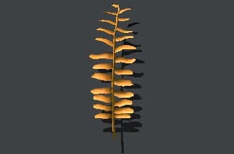 Fern official Wizard Alchemy reference